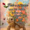 Carmen Sorto - @1960carmensorto0 - TikTok