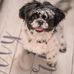 Carmen Spence - Facebook