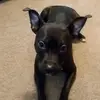 carmen376605 - @carmenstaples - TikTok