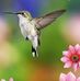 Carmen Stapleton - Facebook