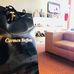Carmen Steffens - Facebook