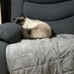 Carmen Stein - @cmstein2003 - Instagram