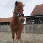 Carmen Steiner - @carmen.steiner.946 - Instagram