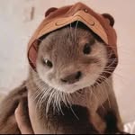 Carmen Stuart - @cottonpawsart - Instagram