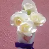CarmenStuart - @margemjal7v - TikTok