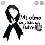 Carmen Sumari - @carmensumari - Instagram