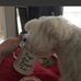 Carmen Sumner - Facebook