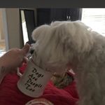 Carmen Sumner - @carmen.sumner.165 - Instagram