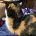 Carmen Sutton - Facebook