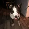 Carmen Albert - @carmen.albert1 - TikTok