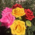 Carmen Luisa Ruiz Tarango - @carmenluisaruiztarango - Instagram