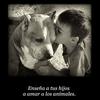 carmente - @carmente74 - TikTok