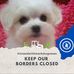 Carmen Tyson - Facebook