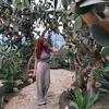 Carmen Vancea - @vanceacarmenn - TikTok