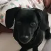 Carmen Williamson - @carmen.williamson0 - TikTok
