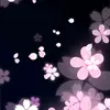 Carmen Yam - @carmenyam18 - TikTok
