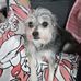 Carmen Yam - Facebook