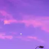 Carmen Yamilet Vargas Barcenas - @carmen.yamilet.va0 - TikTok