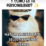 Carmen Marta Zarco - @cmzarco - Instagram