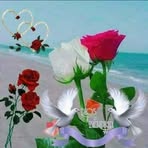 Carmen Zelada - Facebook