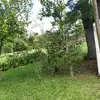 Carmen_zelada - @carmen_zelada - TikTok
