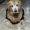 carmen.zelada.a - @carmen.zelada.a - TikTok