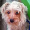 carmenzacano428 - @carmenzacano428 - TikTok