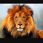 Carmine Leone - @carmine.leone.777 - Instagram