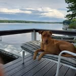 Carol Hynes Bischoff - @carolhynesbischoff - Instagram