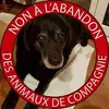 Caroline Bischoff Montureux - @caroline.bischoff - TikTok