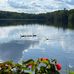 Carol Bishop - Facebook