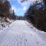 Carol Bishop - @carolbishop4098 - Instagram