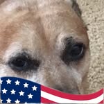 Carol Bishop - @blake_bishop_lil_bb - Instagram