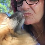 Carol Bishop - @carolbishop932 - Instagram