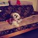 Carol Blank - Facebook