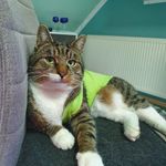 Emma Harry - @carol.blatt.9 - Instagram