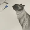 Carol Bledsoe - @carol.bledsoe - TikTok
