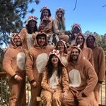 Carol Blehm - @carolblehm - Instagram