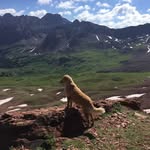 Carol BlitzSmith - @carolblitzsmith - Instagram