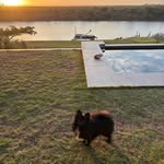 Carol Bloom - @poochy_poo_poo - Instagram