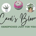 Carol's Bloom - @carols_bloom_main - Instagram