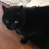 carolblower - @carolblower - TikTok