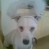 Carol Blunt547 - @carolblunt0 - TikTok