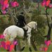 Caryl Blunt - Facebook