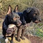 Carol Albiston-Blyth - @carol.blyth.74 - Instagram