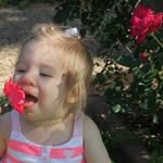 Carol Bly - @carollbly - Instagram