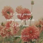 Carol Bly - Facebook