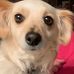 Carol Board - Facebook