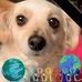 Carol Board - Facebook