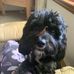 Carol Bodnar - Facebook